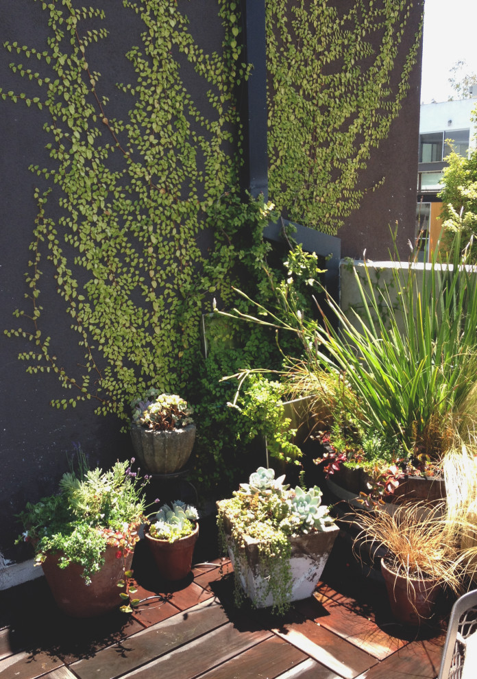 Kleiner Stilmix Dachgarten mit Kübelpflanzen, direkter Sonneneinstrahlung und Dielen in Los Angeles