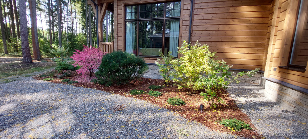 Гармония леса