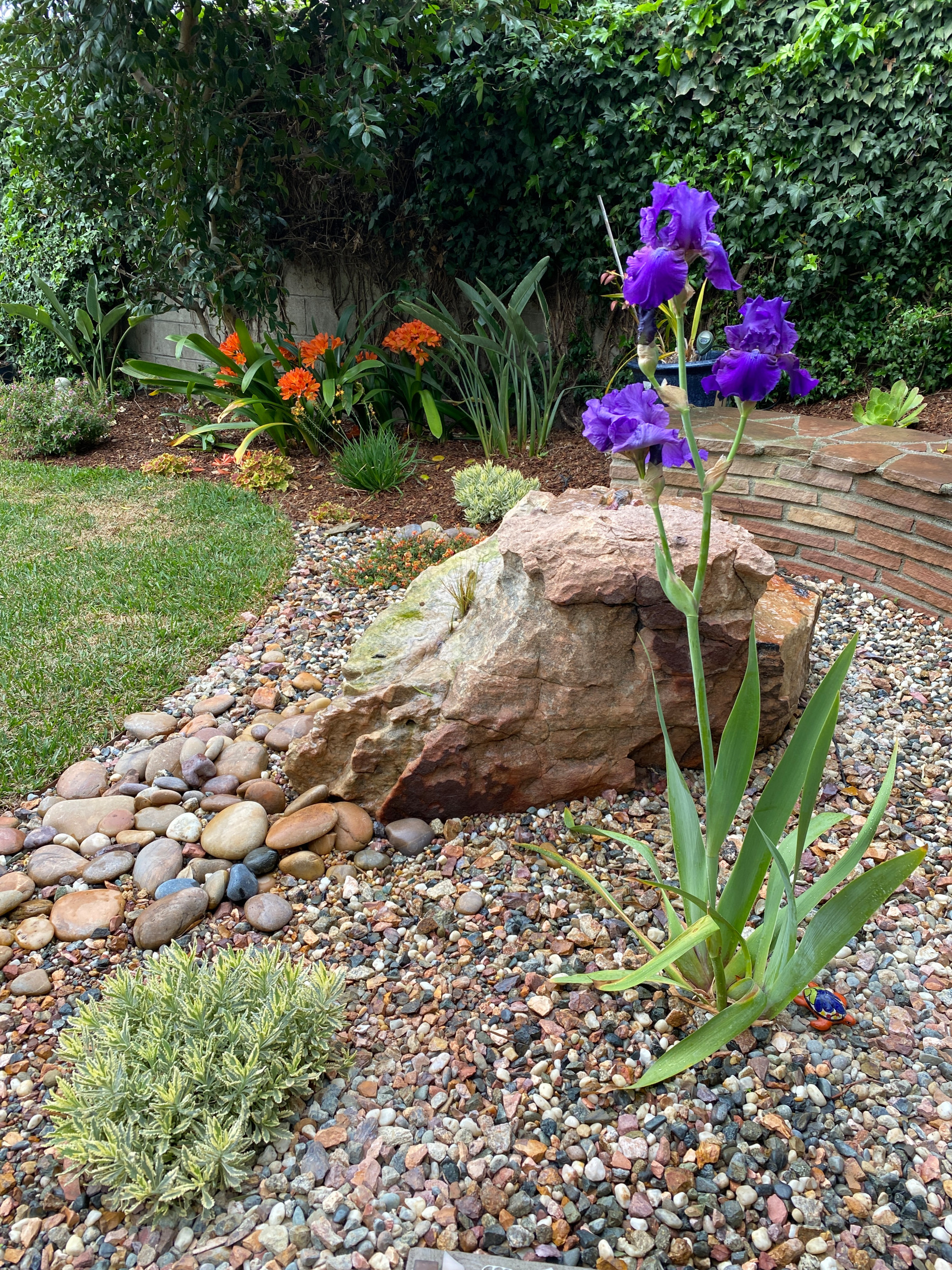 Hermosa Beach: Pollinator Garden