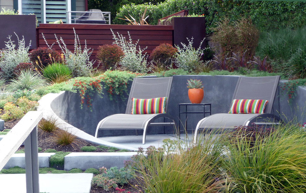 This is an example of an expansive contemporary backyard full sun xeriscape for spring in San Francisco.