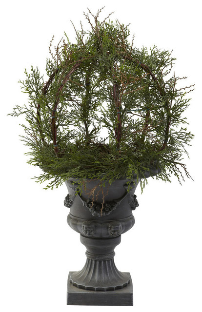 30" Pond Cypress Topiary With Urn, Indoor and Outdoor