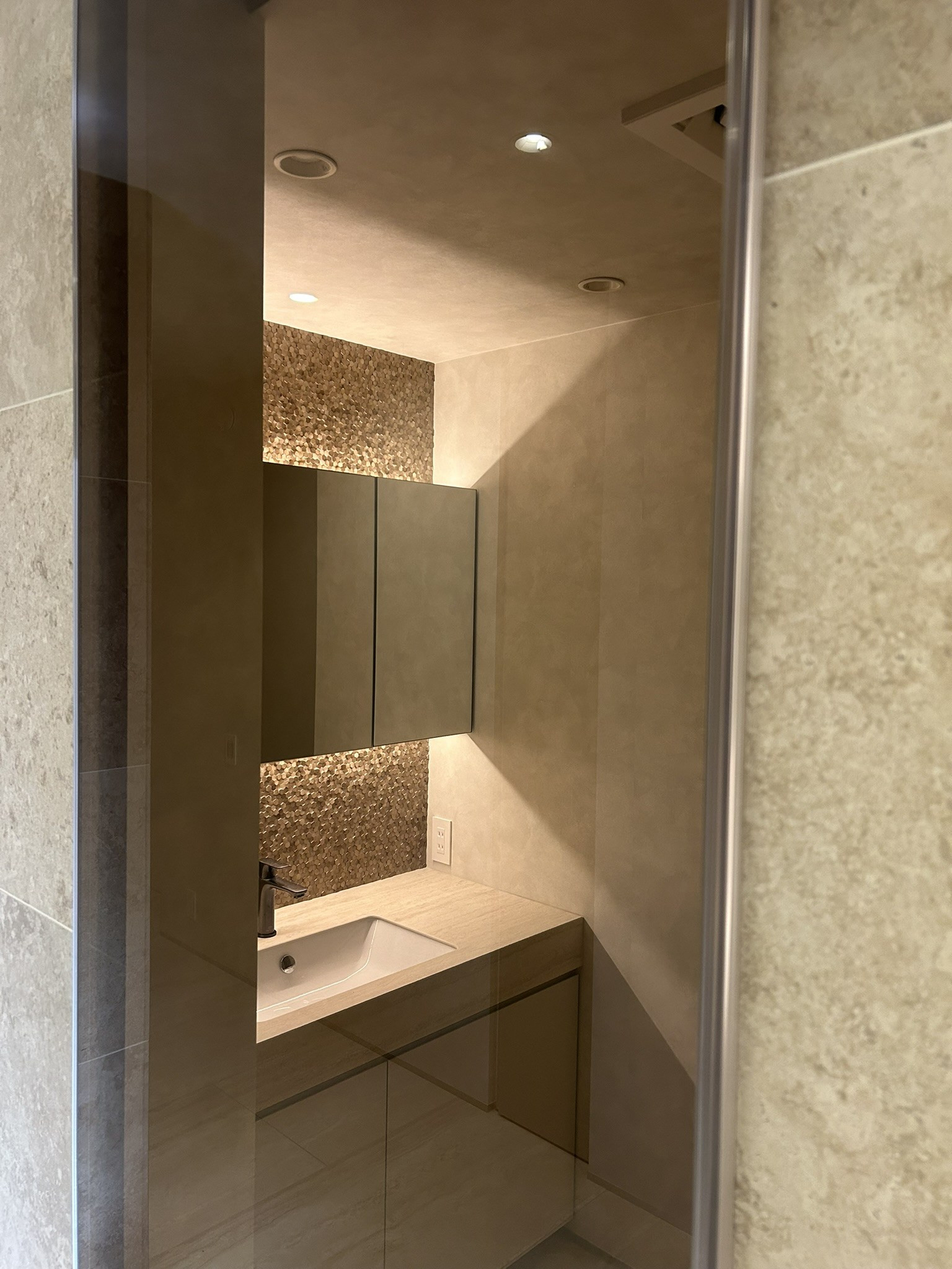 田園調布の家（大きなお風呂とサウナがある家）