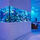 Okeanos Custom Aquariums, Fish Tanks, and Ponds