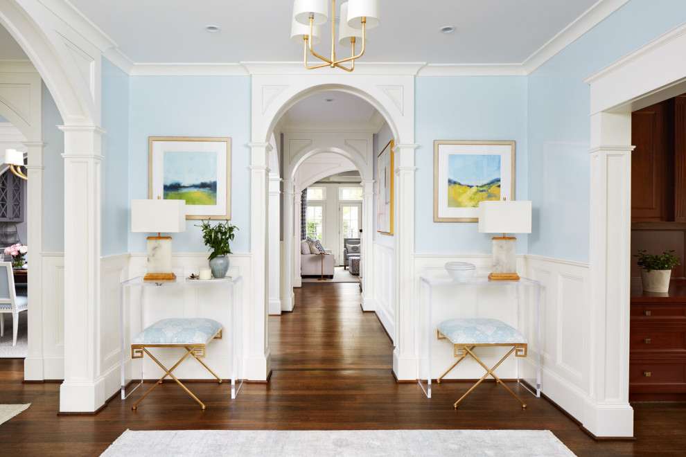 Diseño de recibidores y pasillos contemporáneos de tamaño medio con paredes azules y suelo de madera en tonos medios