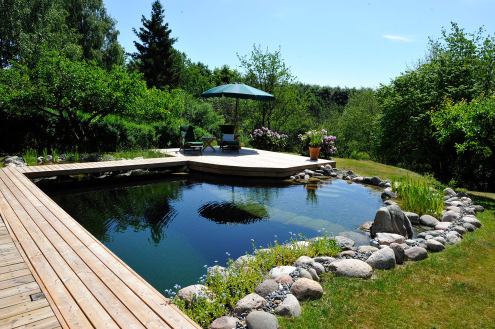 Photo of a mid-sized scandinavian backyard custom-shaped natural pool in Other with natural stone pavers.