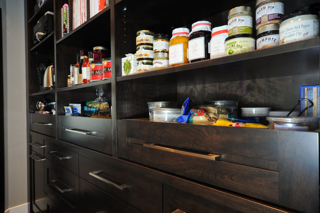 Modern Contemporary Design contemporary-kitchen