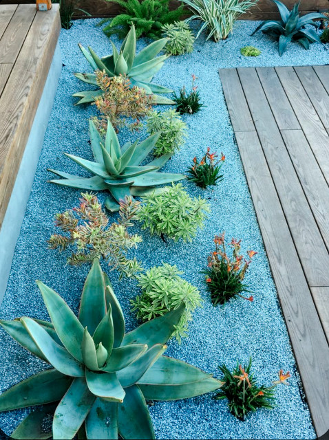 Agave Outdoor Designs