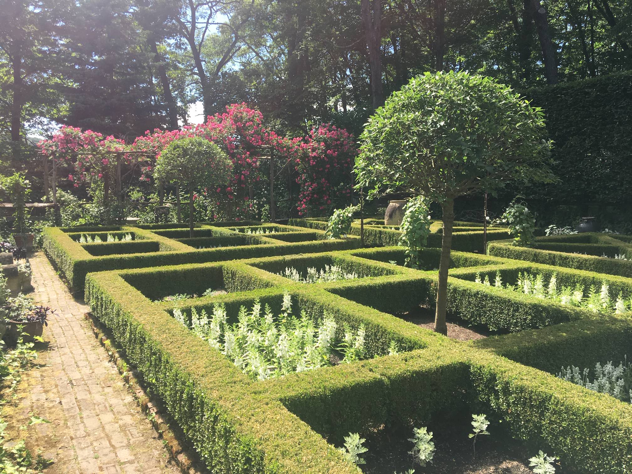 Formal Gardens with Boxwoods, Topiaries and Plants