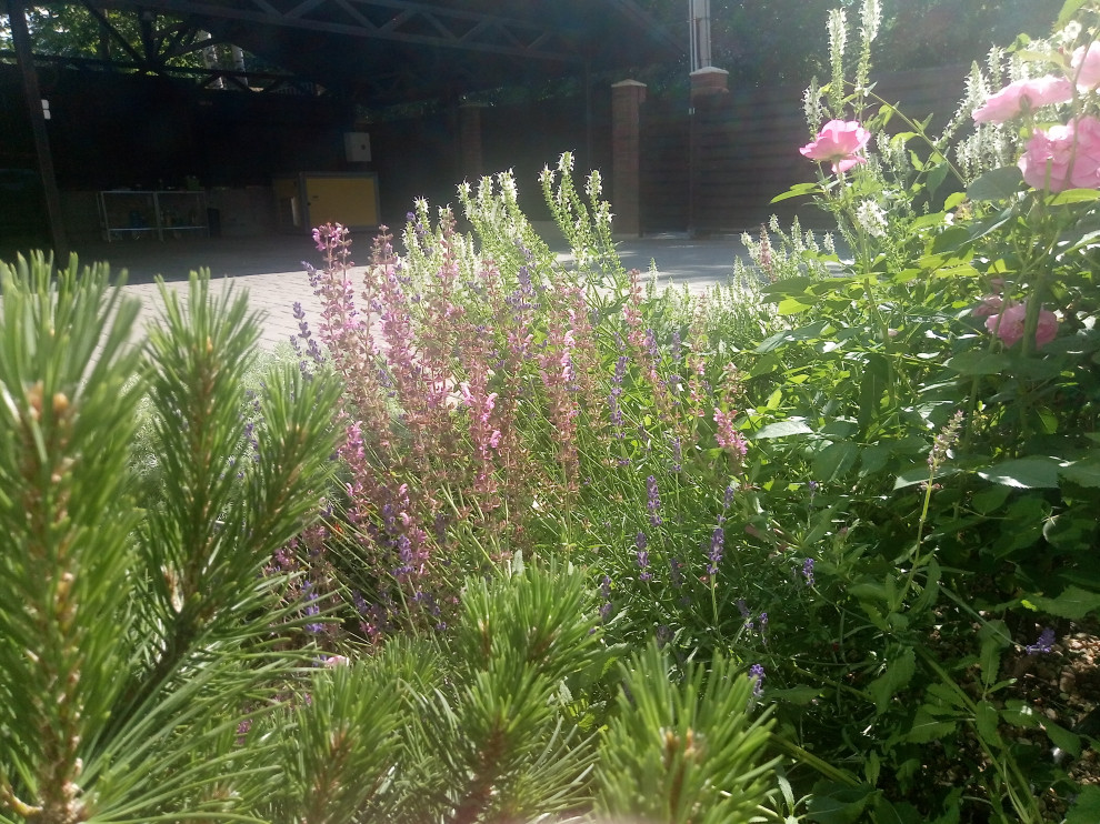 Сад в Рожновке