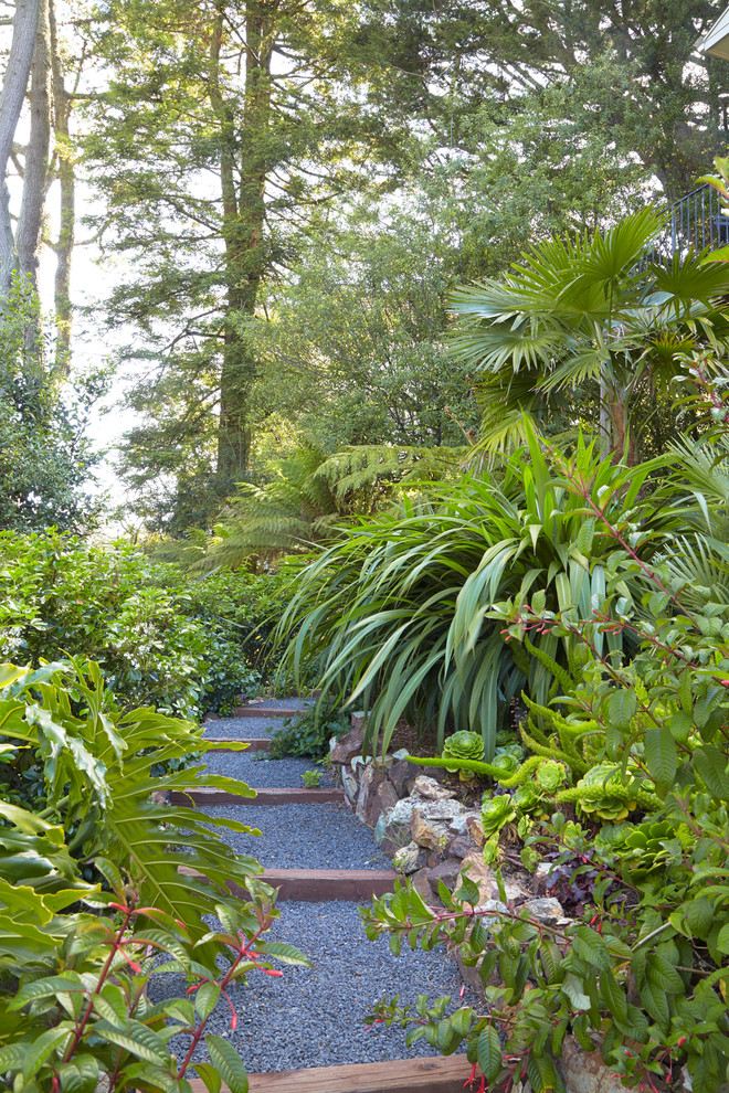 Inspiration for a mid-sized tropical backyard shaded formal garden in San Francisco with a garden path and gravel.
