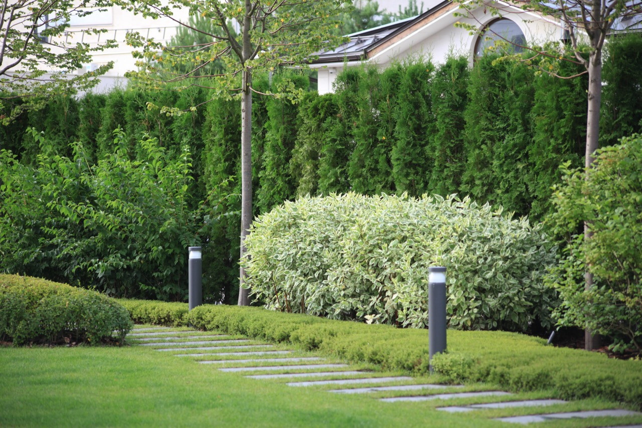 Тихая роскошь