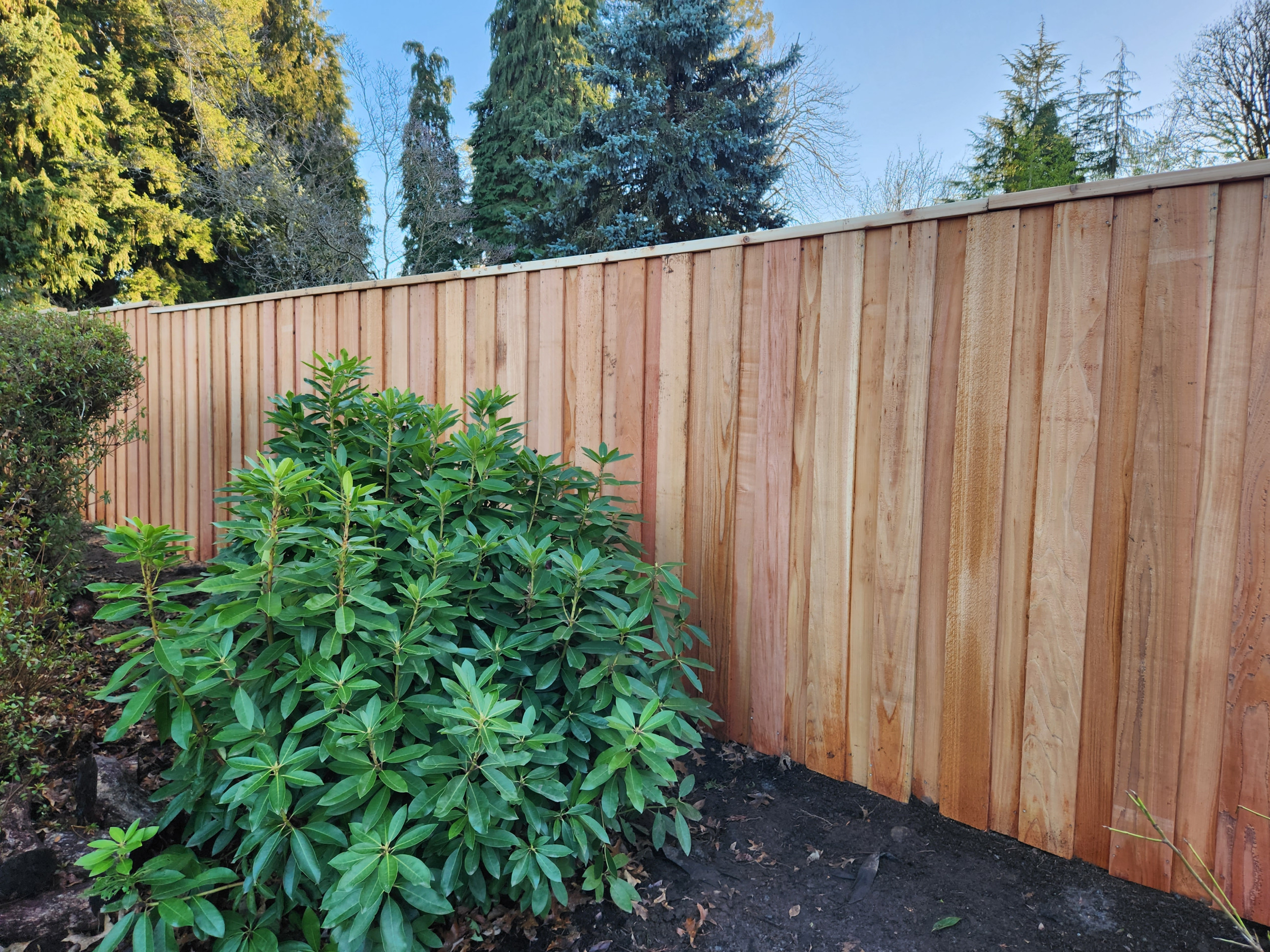 Privacy fence overlapped with clear cedar with metal post