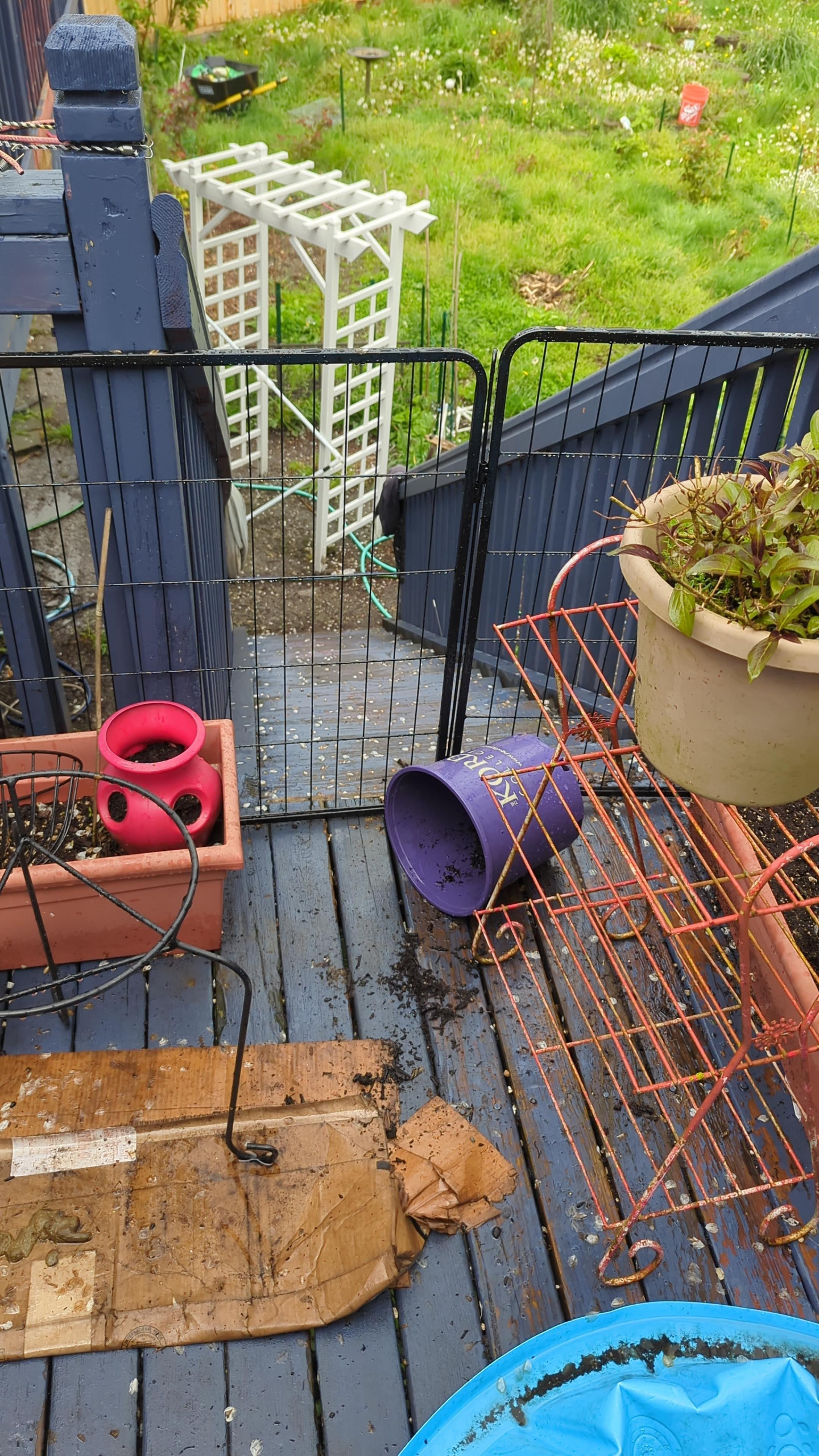 Deck Reconstruction, Stain & Roof Build