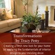 Transformations by Tracy