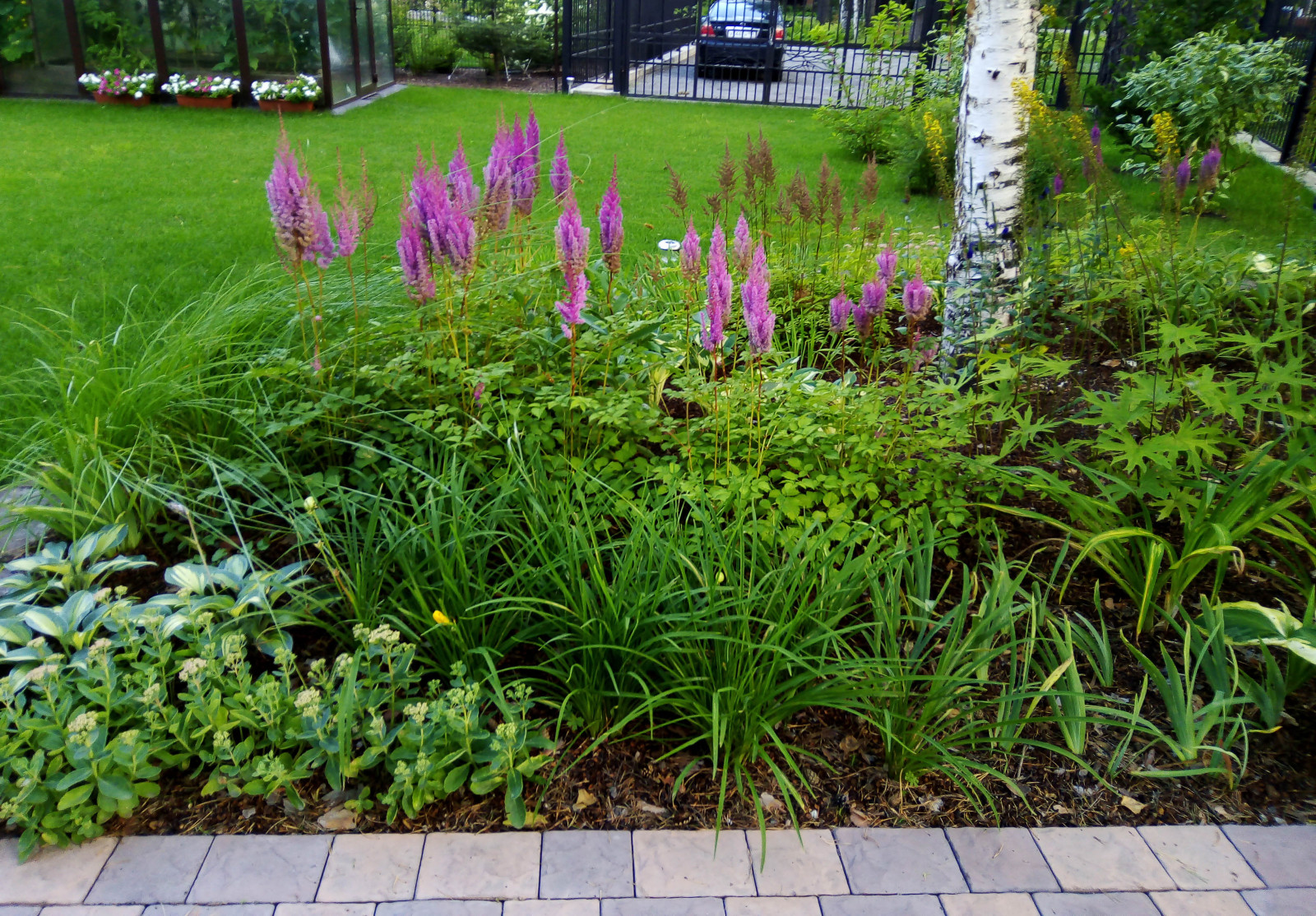 Цветники под пологом леса