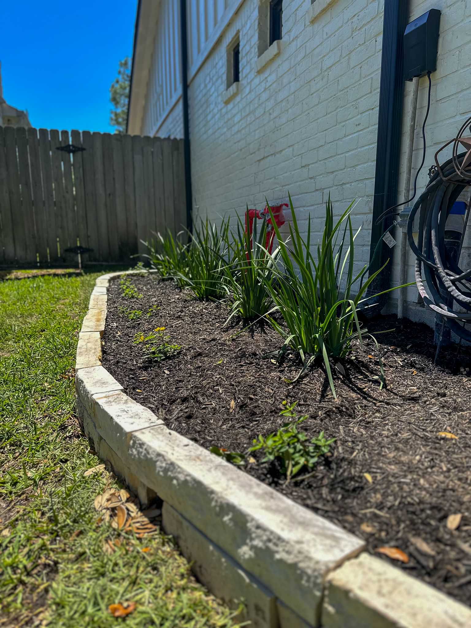 Front and Back yard makeover in Del Monte HTX