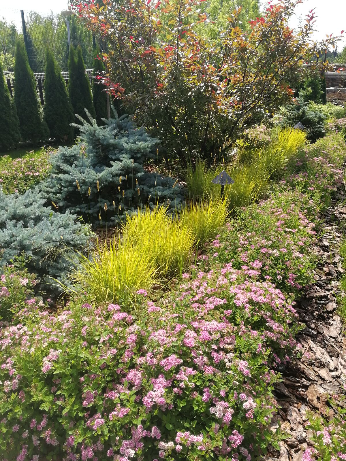 Благоустройство участка 20 соток в КП Пестово