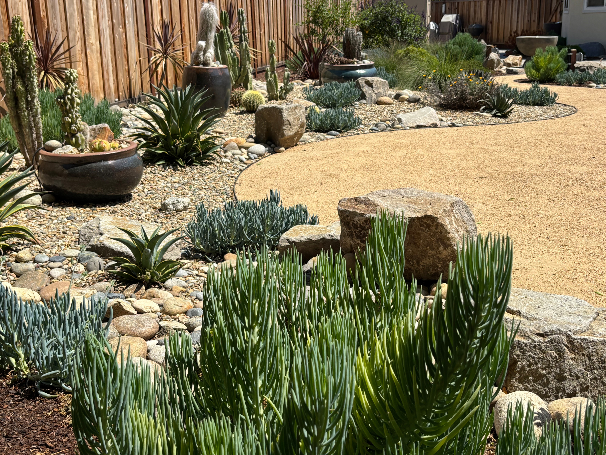 Sunny Fremont oasis