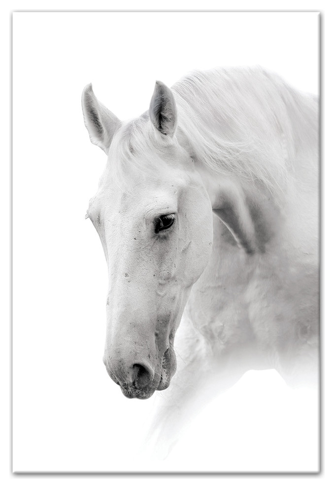 White Horse 24x36 Canvas Wall Art Contemporary Prints And Posters By Designs Direct