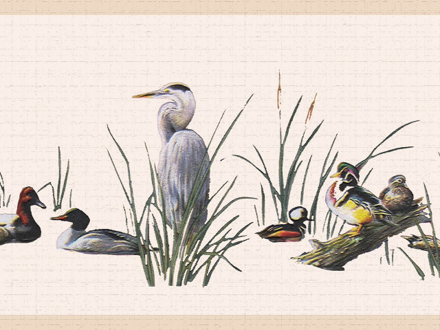 Birds Peel and Stick Wallpaper Border 15'x7"