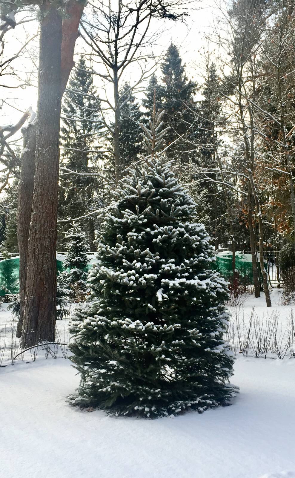 Графские пруды КП