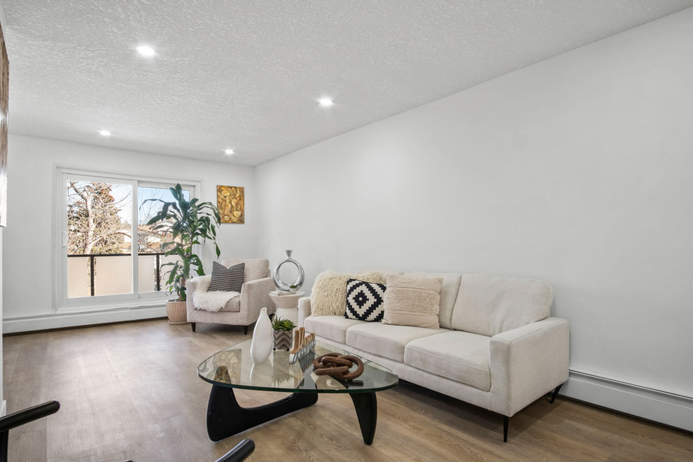 Condo Renovation 1