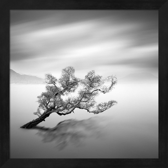 Water Tree VI by Moises Levy Framed Art, 13.25"x13.25" Contemporary