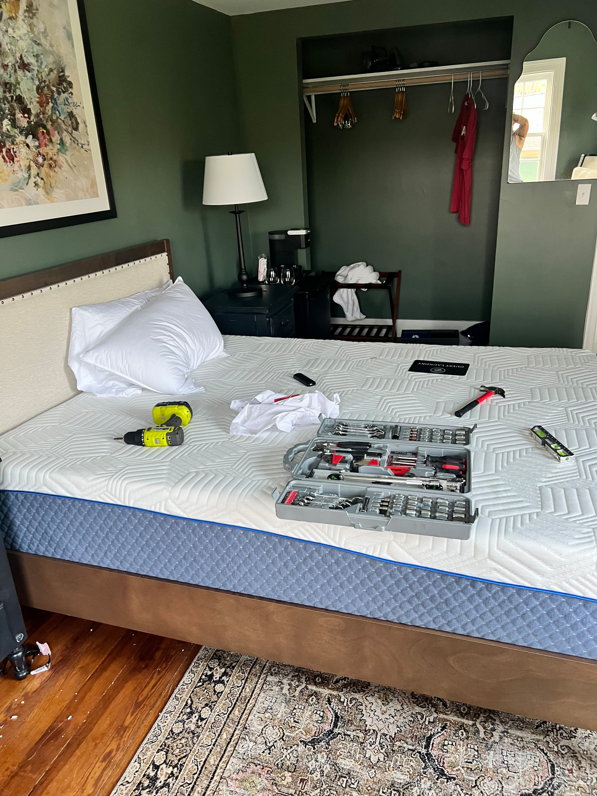 B&B Hawksbill Luray