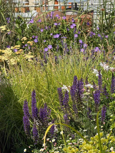 La campagne dans le ciel landhausstil-terrasse