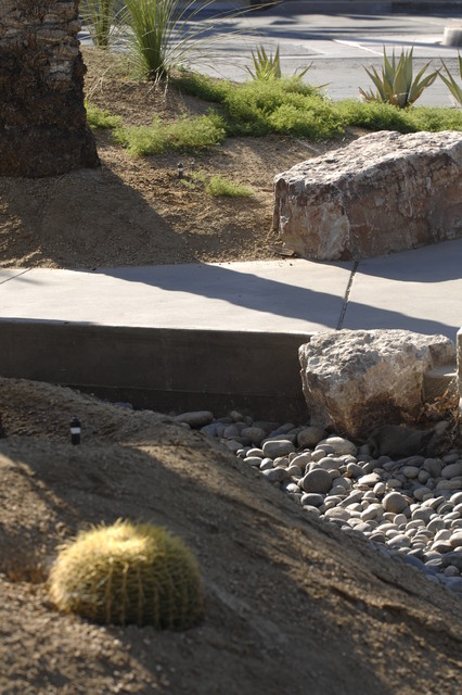 Desert Oasis contemporary-garden