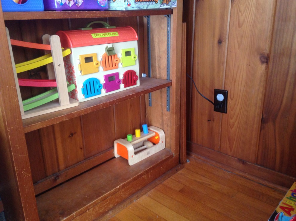 Wood paneled den/ playroom