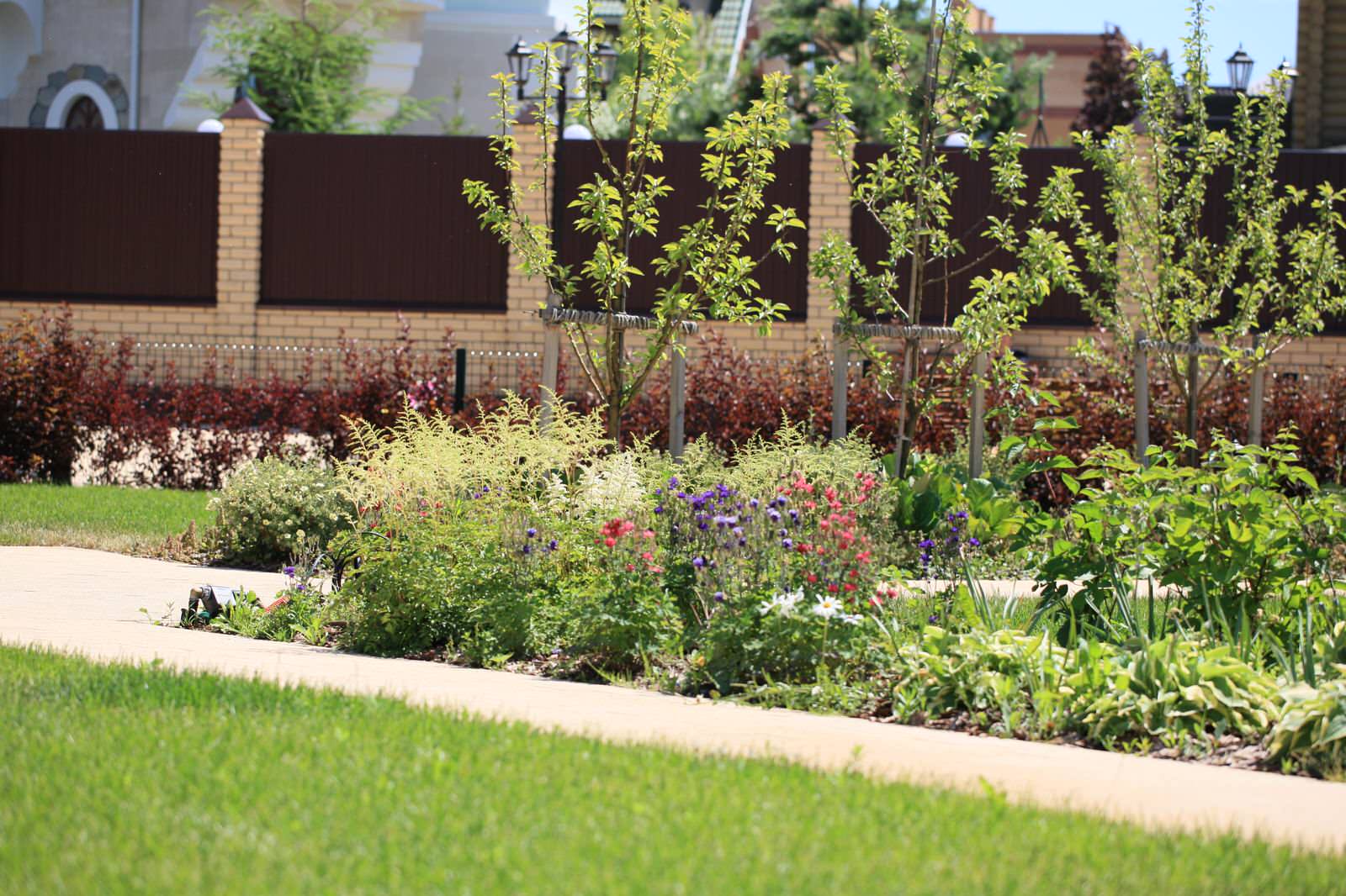 Сад с румянцем