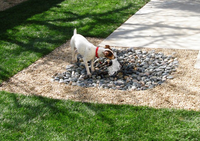 Custom Golden Retriever Dog Fence Peeker Outdoor Yard Kennel Dog