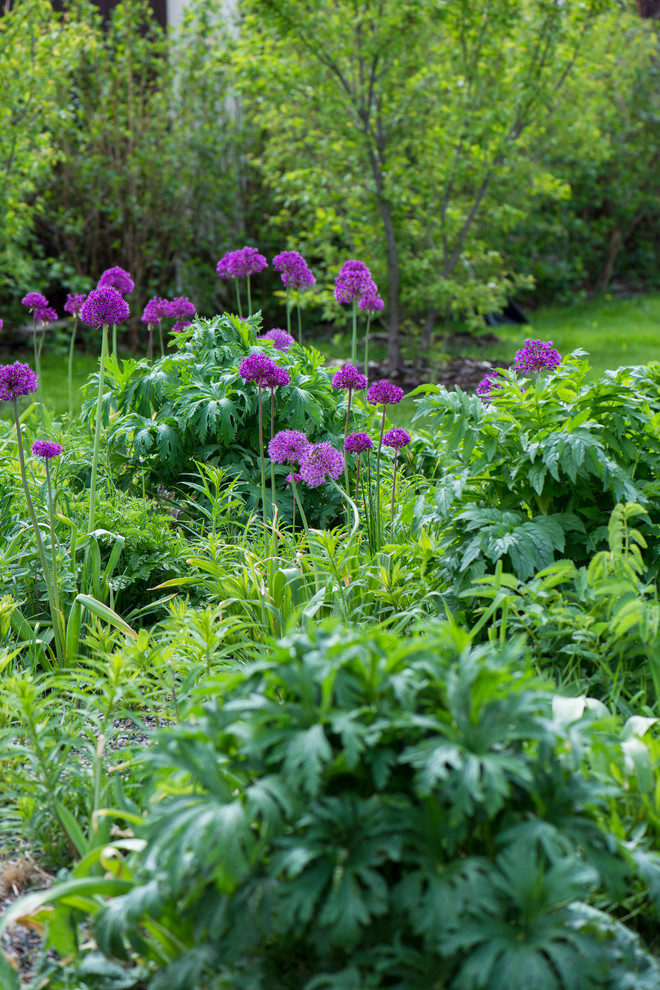 Цветник в  природном стиле  (" New Perennials"  или "Новая волна")