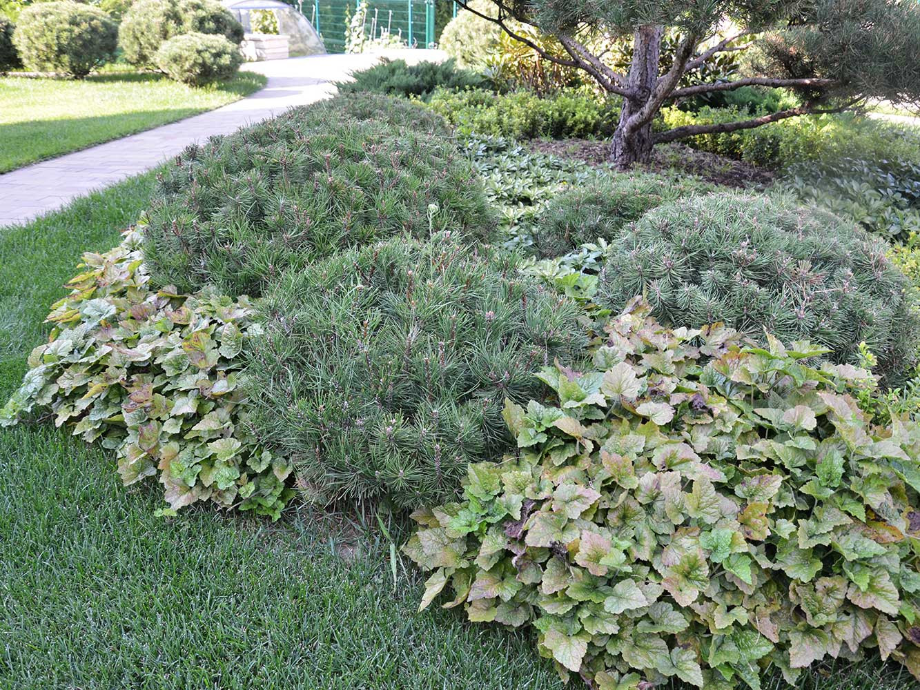 Современный сад в КП "Бенелюкс" вилла 1