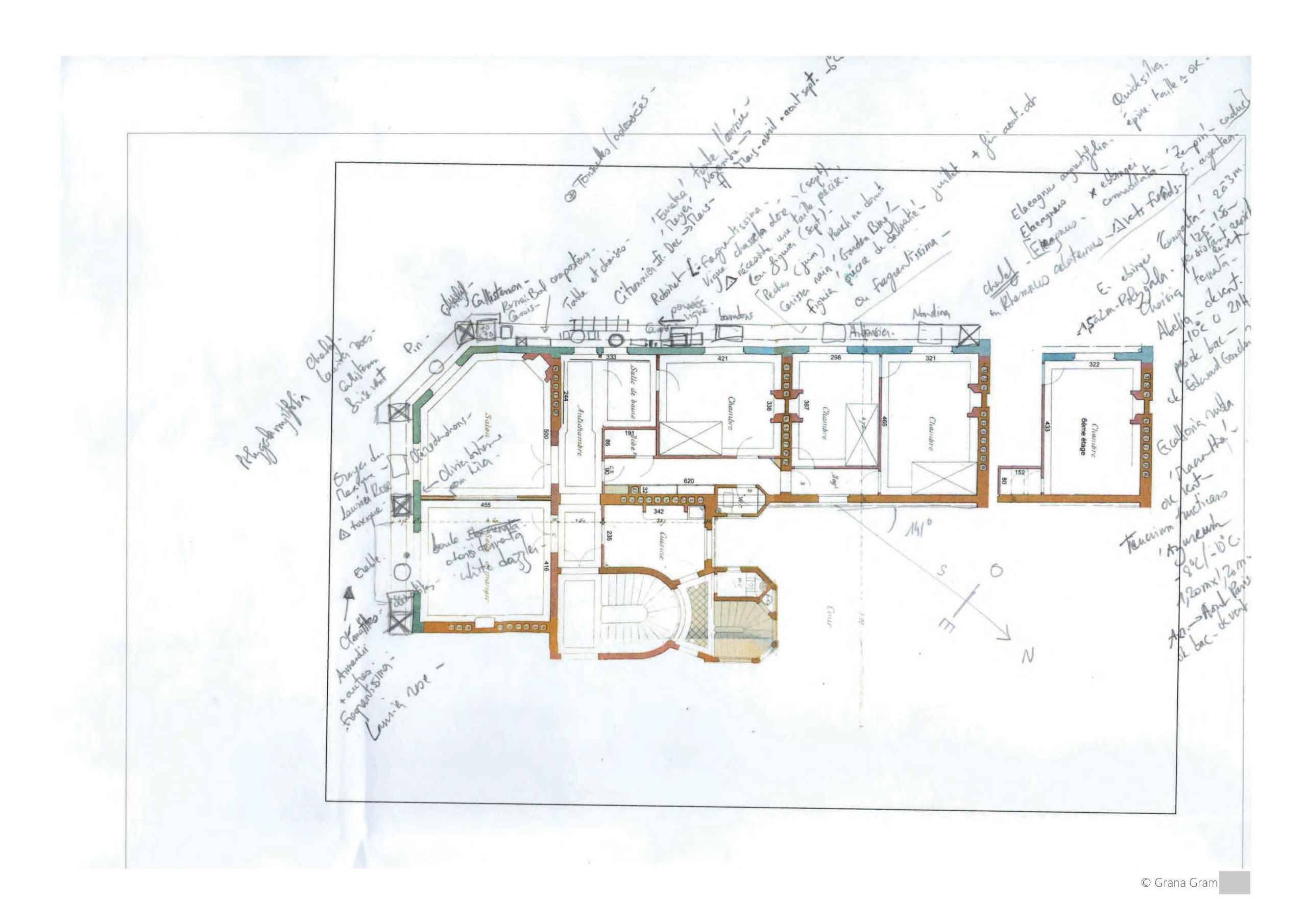 Projet : plan de plantation