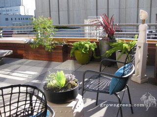 Roof Garden Projects