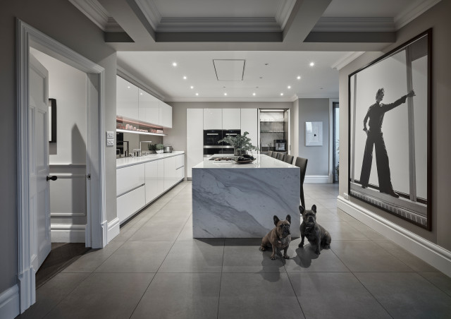 Strike a Pose - SieMatic Kitchen contemporary-kitchen