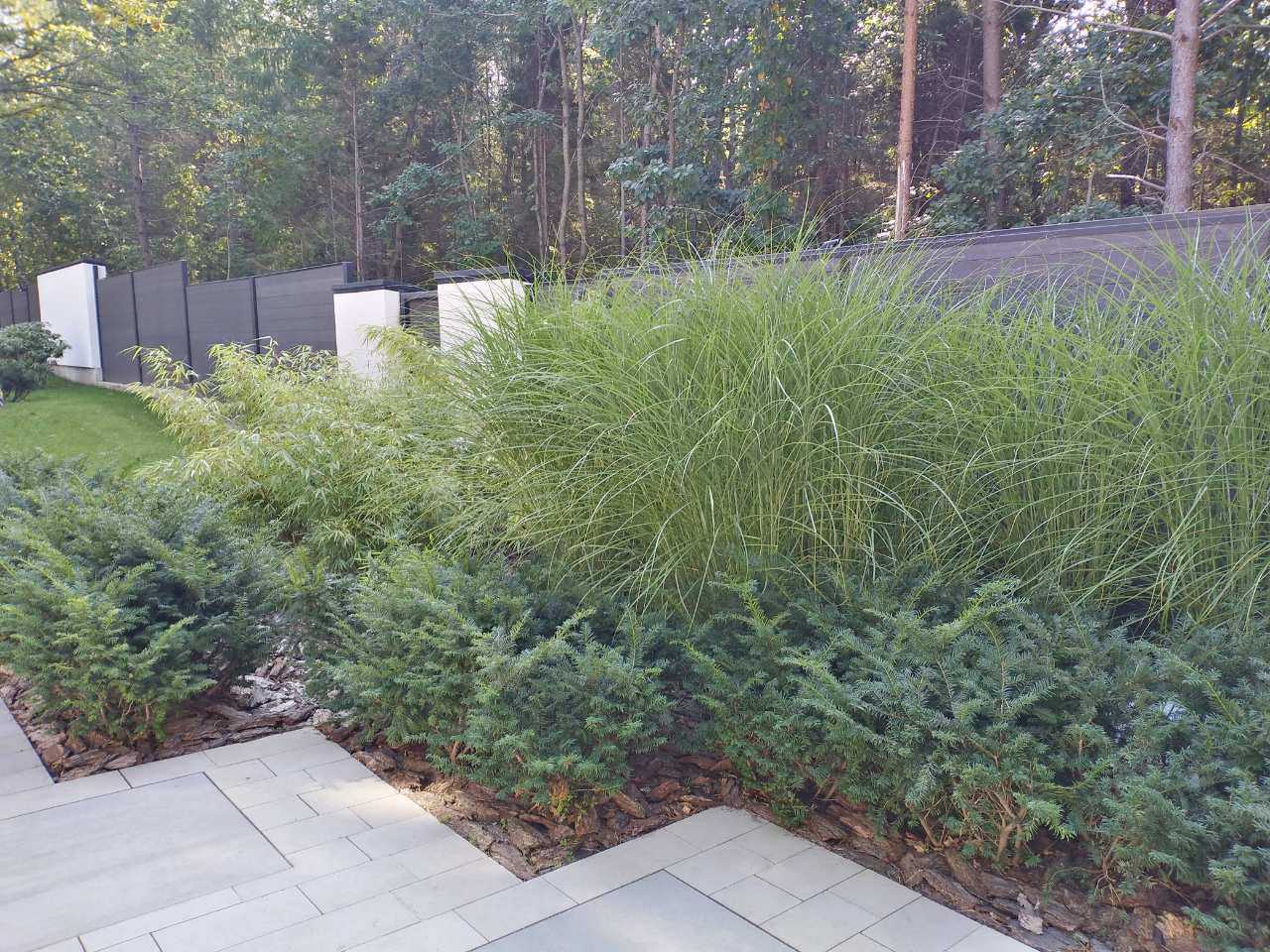 Сад в Светлогорском лесу