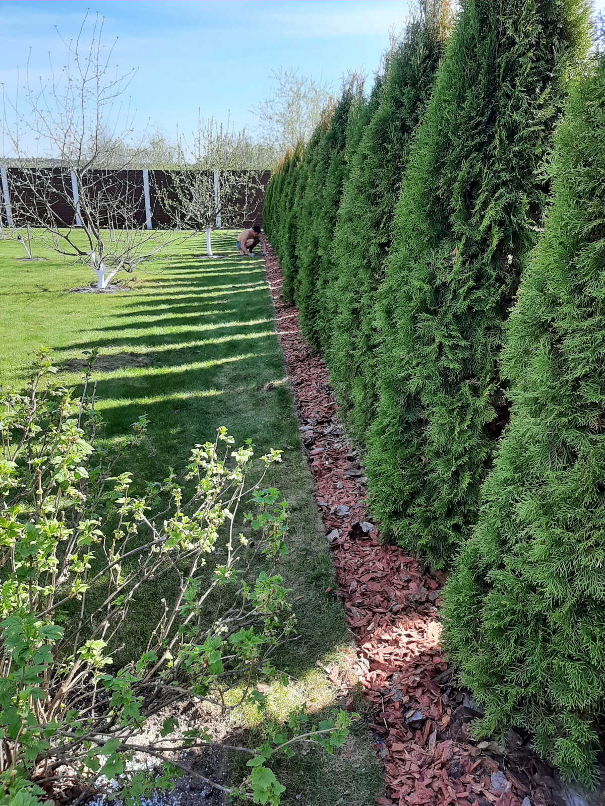 ландшафтный дизайн частного дома