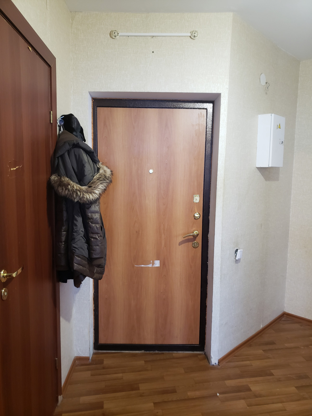 Квартира (проект 2020г.)