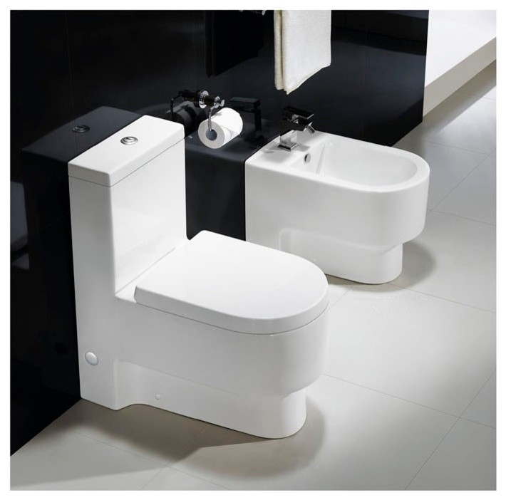 Modern Bathroom Toilet - One Piece Dual Flush - Abaddia