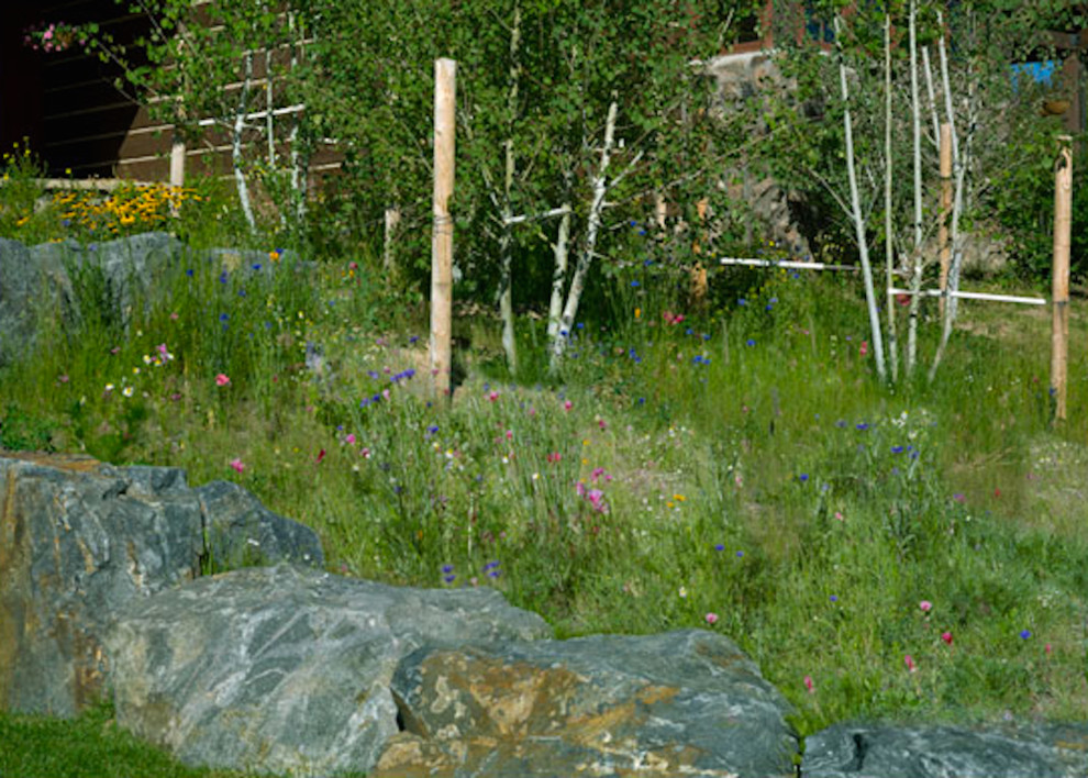 Design ideas for a mid-sized rustic full sun backyard stone landscaping in Denver for summer.