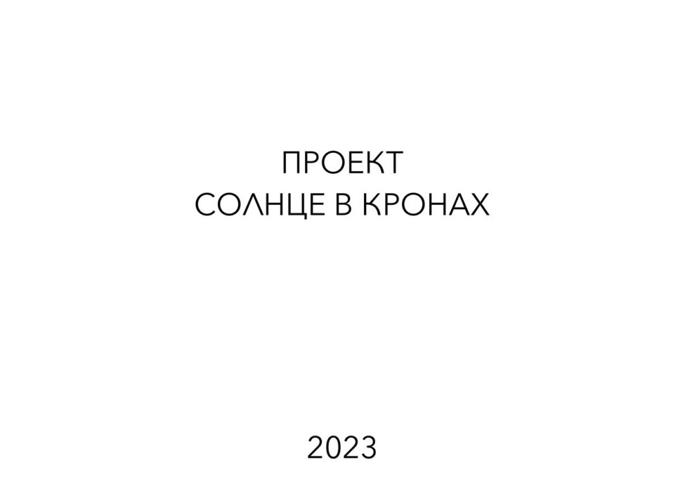 Солнце в кронах