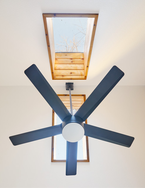 Holly Adu Ceiling Fan Modern Kitchen Austin By