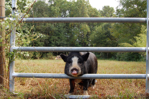 うまくいかなかった日に 家で自分を癒す方法 Houzz ハウズ