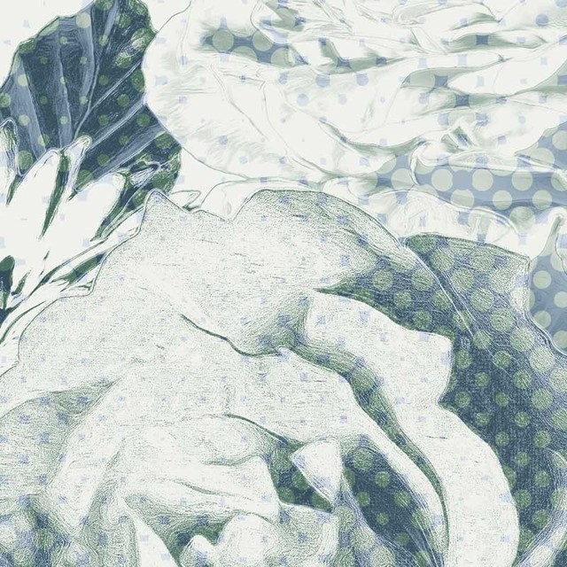 Fiore Wallpaper - Eclectic - Wallpaper - by LGD01 | Houzz UK