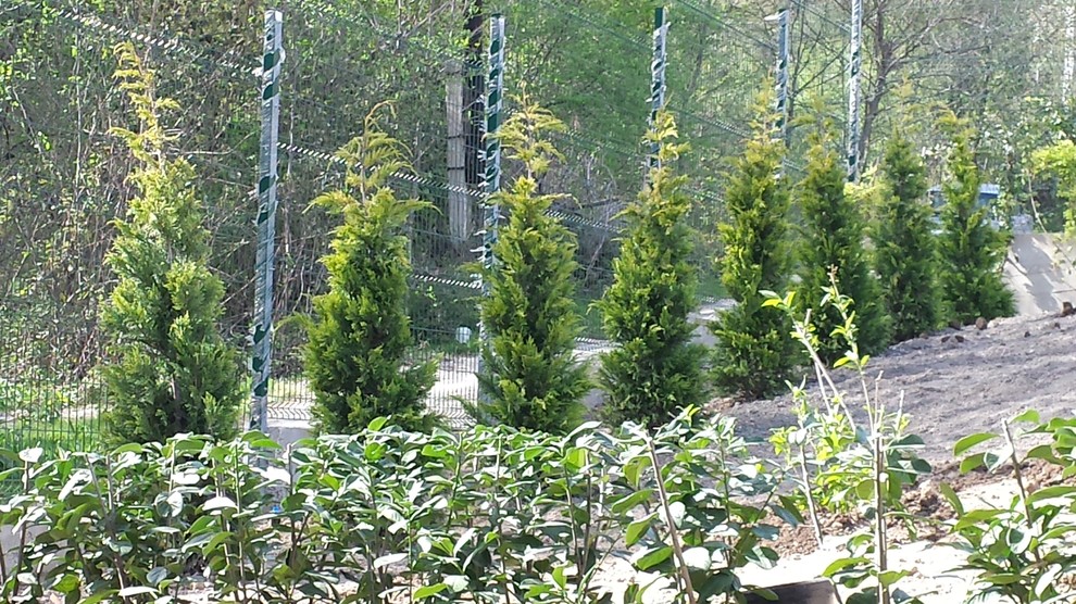 Благоуствойство частного домовладения