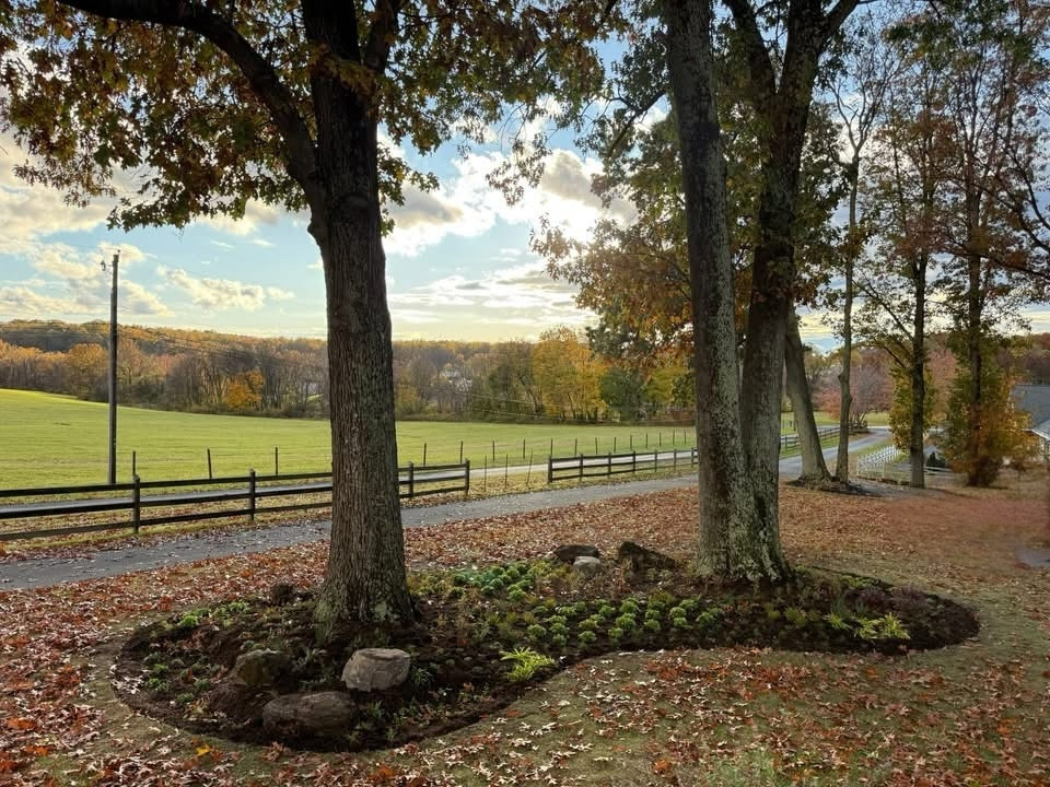 Impactful, serene and native entrance.