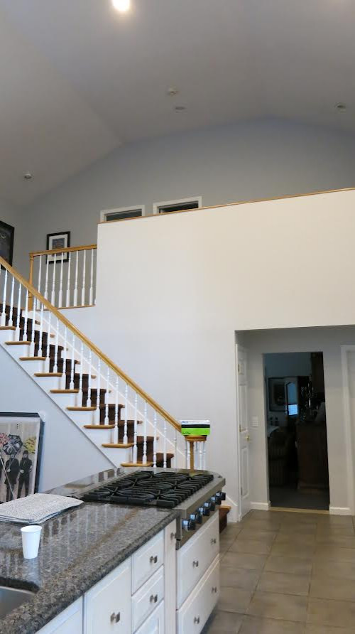 Contemporary Open Concept